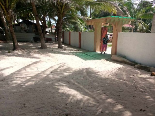 place photo 10