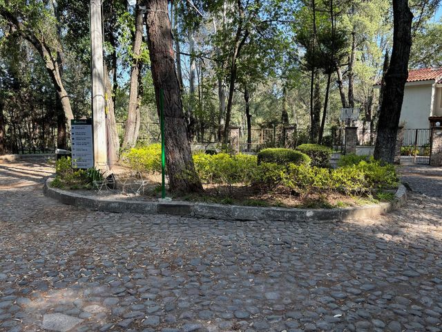 place photo 9