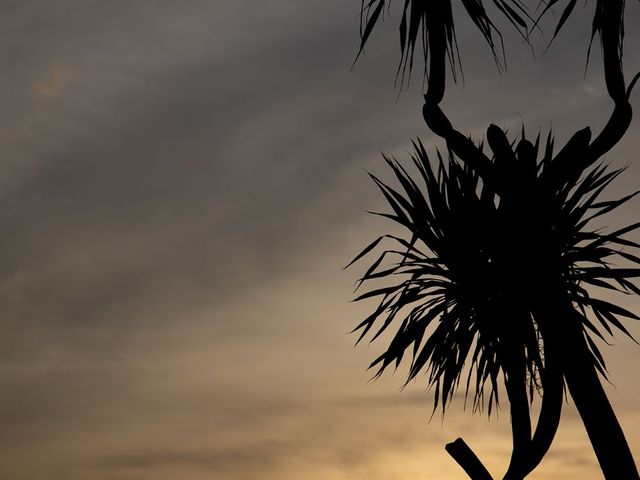 place photo 73
