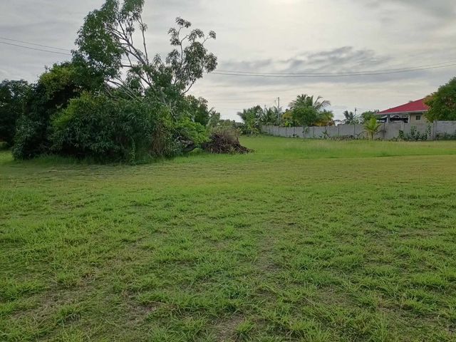 place photo 26