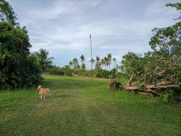 place photo 25