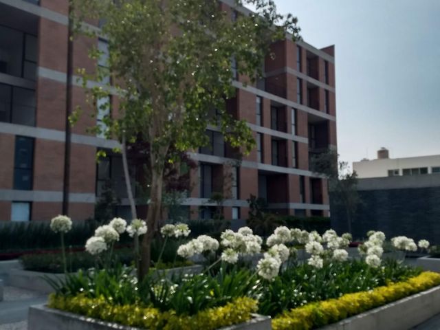 place photo 41