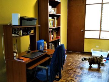 place photo 24