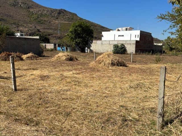 place photo 31
