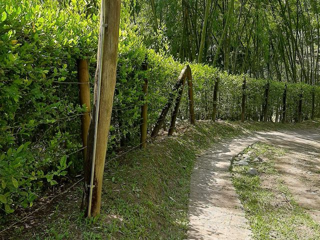 place photo 59