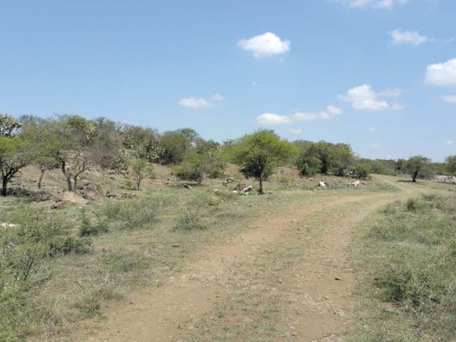 place photo 19