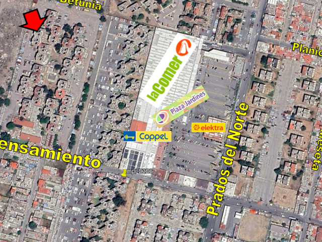 place photo 2