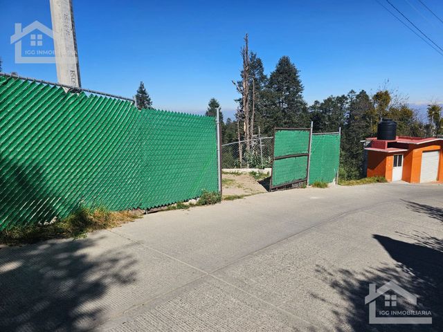 place photo 39