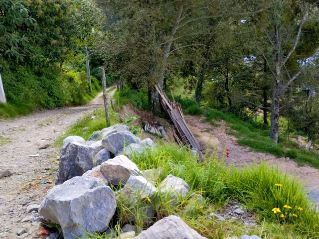 place photo 38