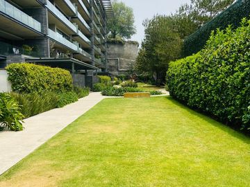 place photo 43