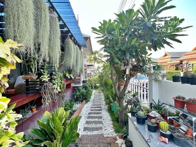 place photo 26