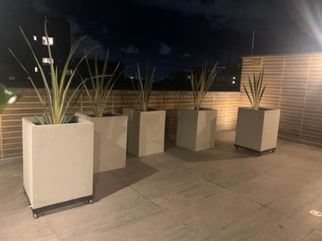 place photo 18