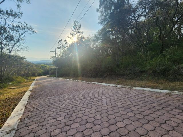 place photo 18