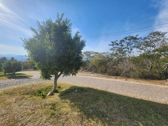 place photo 15
