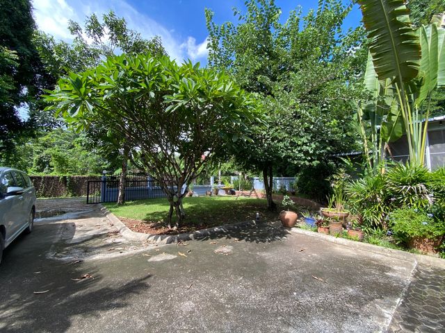 place photo 47