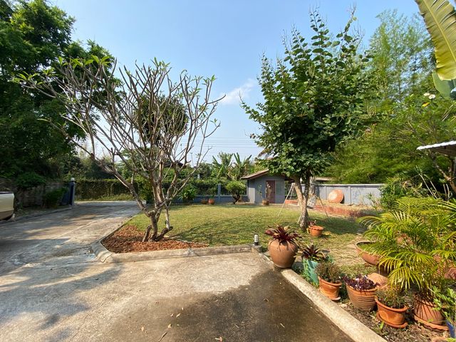 place photo 46