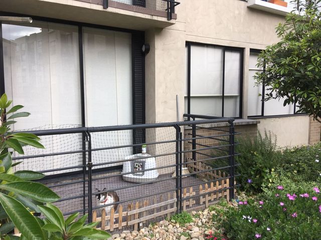 place photo 11