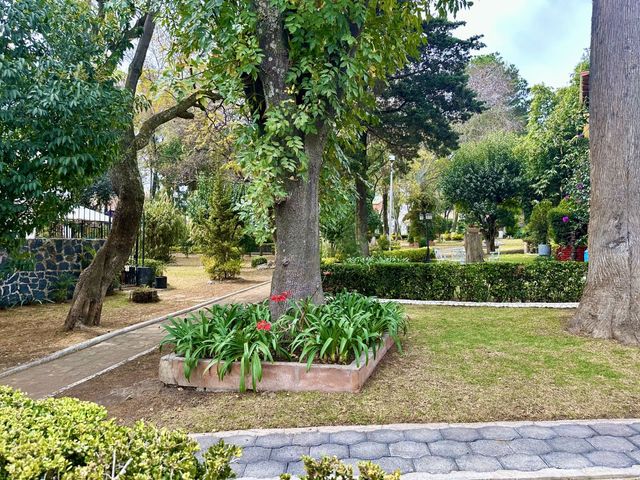 place photo 38