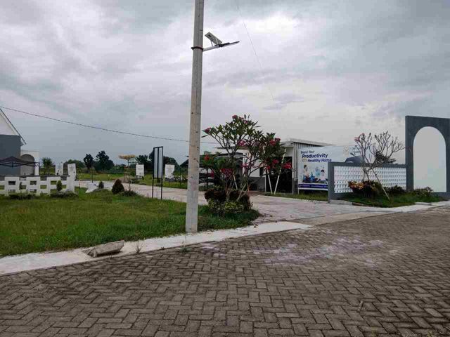 place photo 12