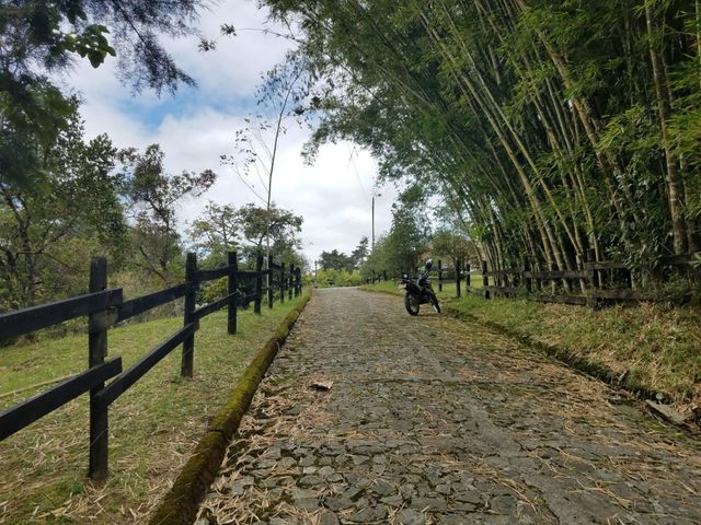 place photo 27