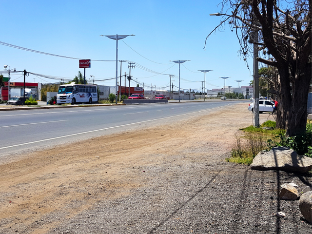 place photo 9