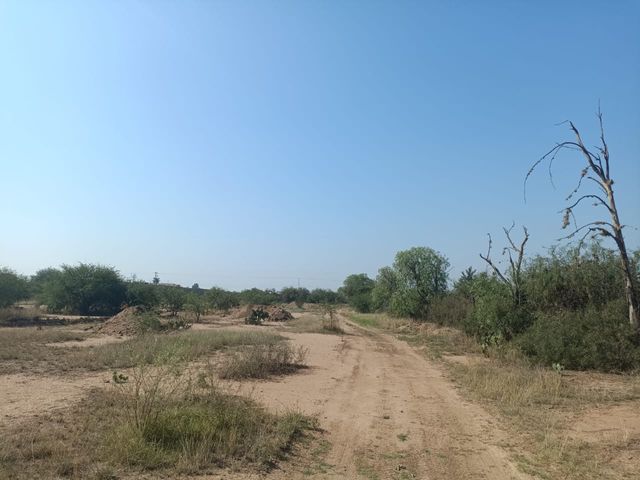 place photo 26
