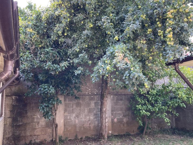 place photo 24