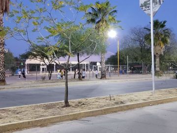 place photo 23