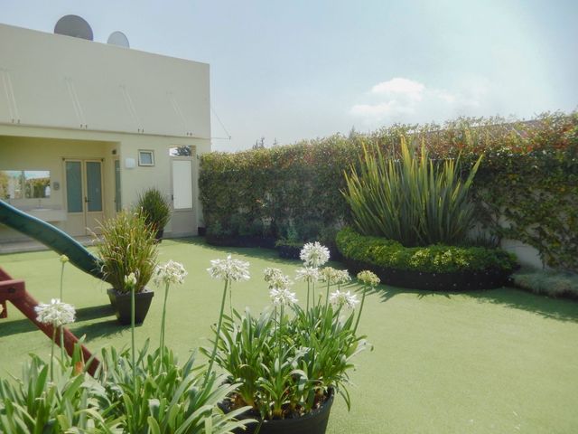 place photo 36