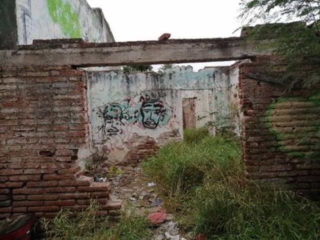 place photo 14