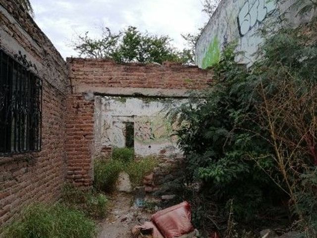 place photo 16