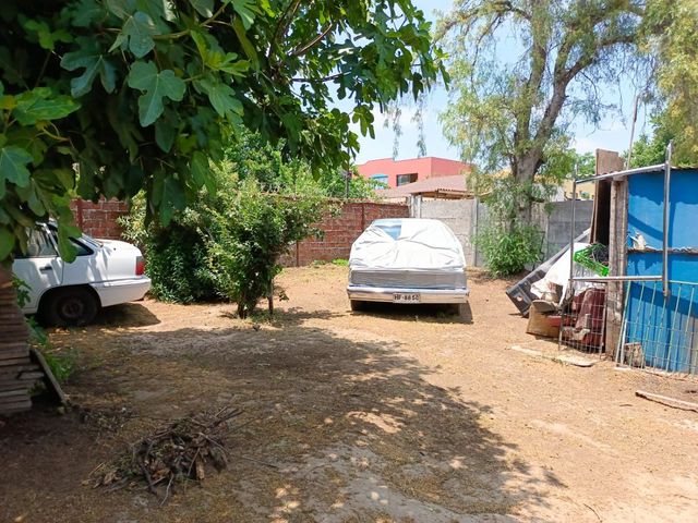 place photo 20