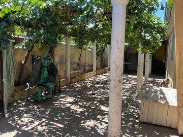 place photo 14