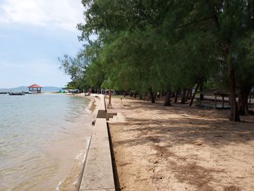 place photo 36