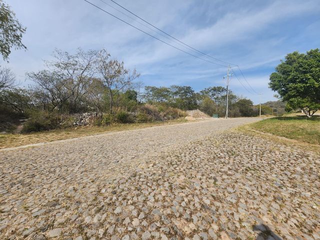 place photo 20