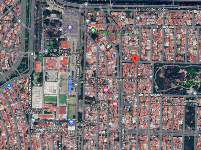 place photo 11