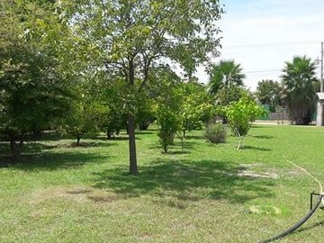 place photo 27