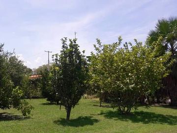 place photo 21