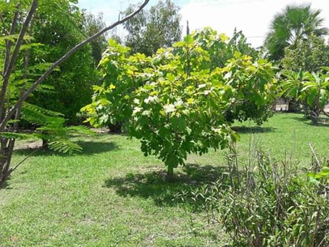 place photo 23