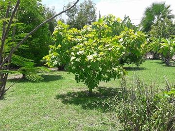 place photo 23