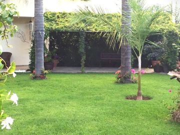 place photo 22