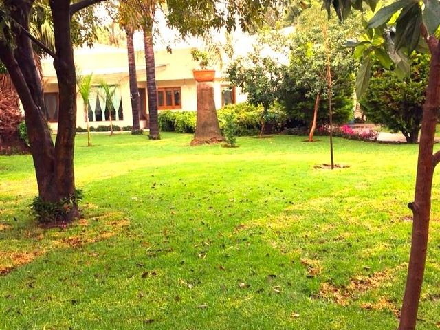 place photo 25