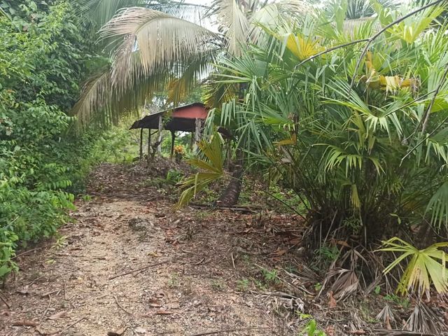 place photo 15