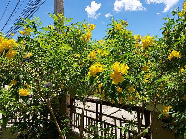 place photo 22