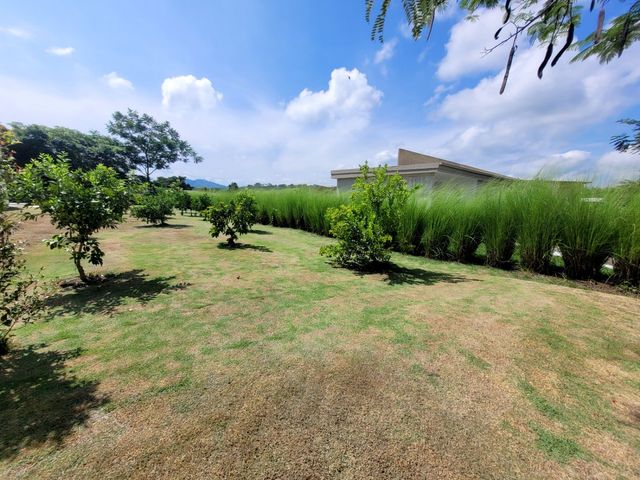 place photo 45