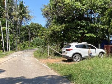 place photo 16