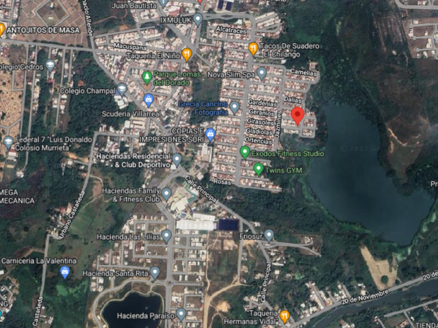 place photo 10