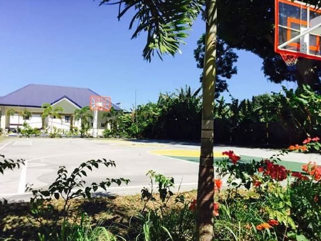 place photo 37