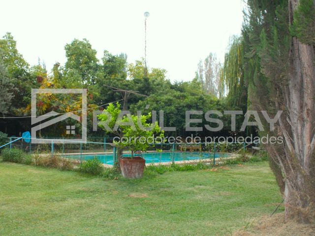 place photo 26