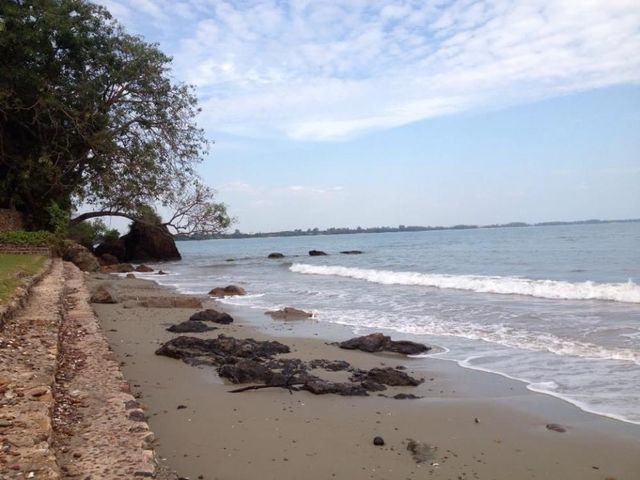 place photo 22